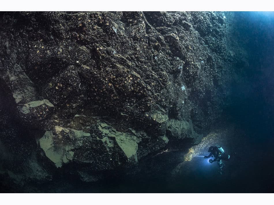 Du Feu Sous La Mer Laurent Ballesta 12