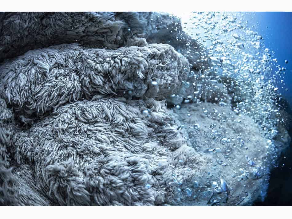 Du Feu Sous La Mer Laurent Ballesta 18