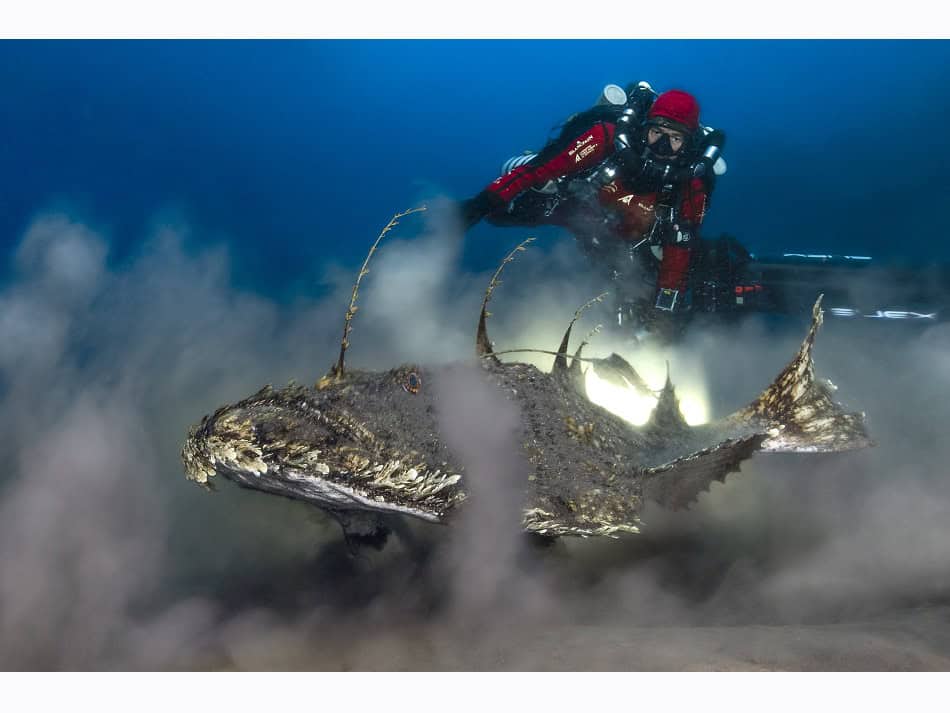 Du Feu Sous La Mer Laurent Ballesta 2