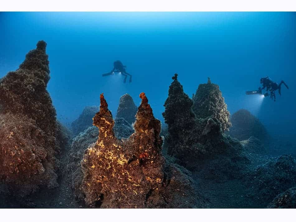 Du Feu Sous La Mer Laurent Ballesta 21
