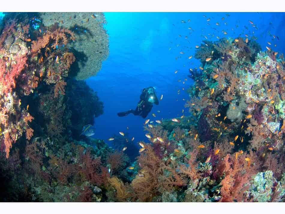 Hurghada daniel breckmann 15