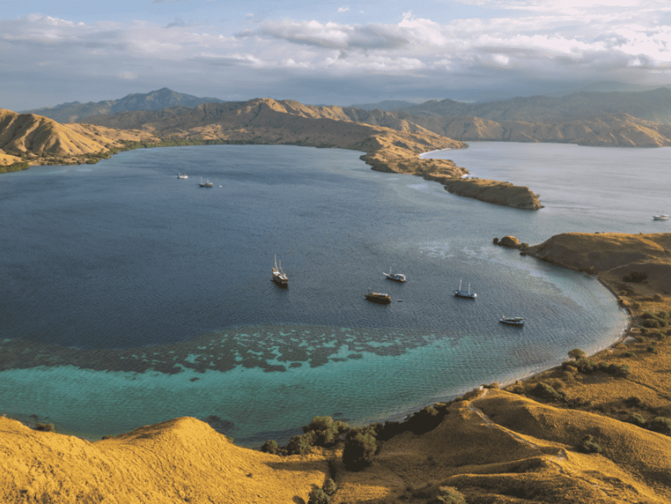 Komodo (2)