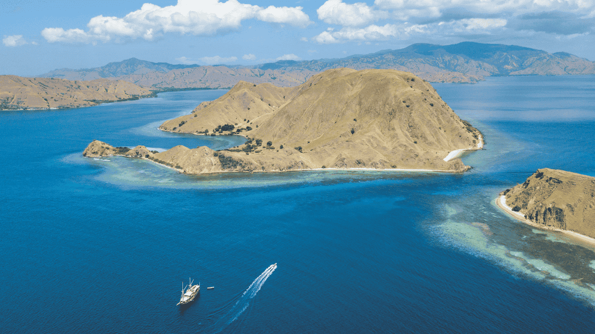 Komodo couverture