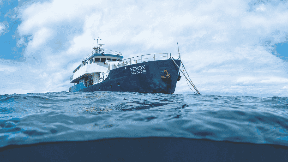 Malpelo couverture