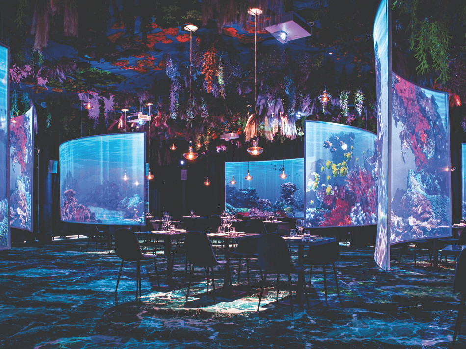 Resto (1)