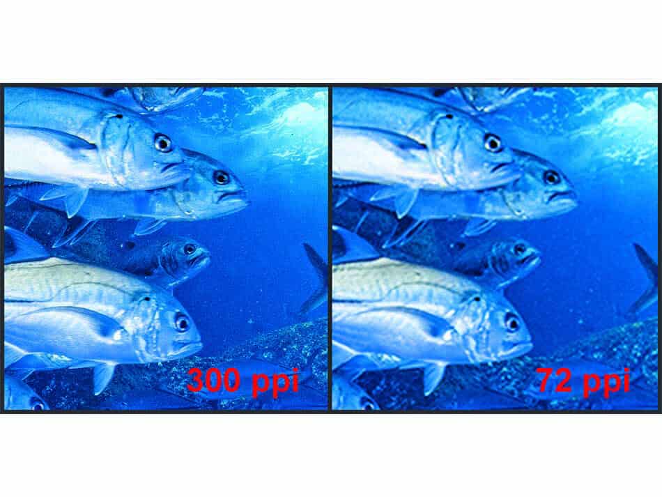 Aquapixel44