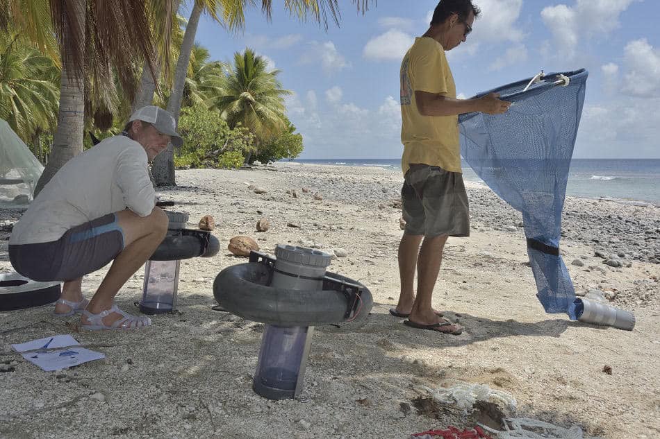 Atoll taiaro pascal kobeh 11