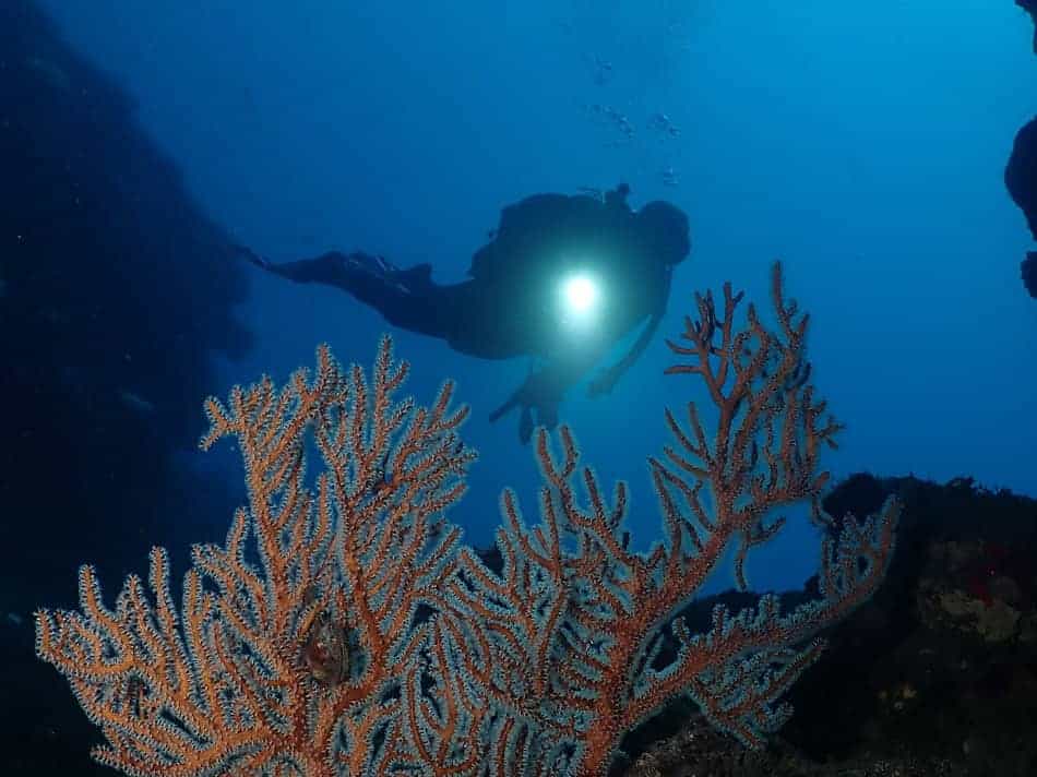07074 07 5a1 050122