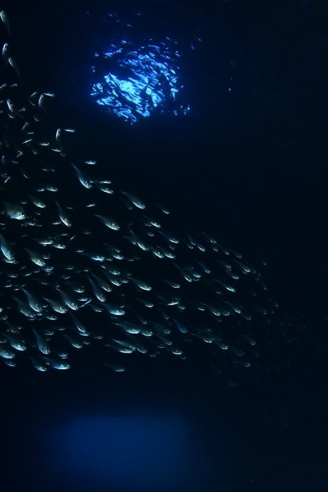 17174 17 5a1 6765