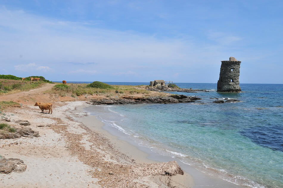 Cap corse herve colombini
