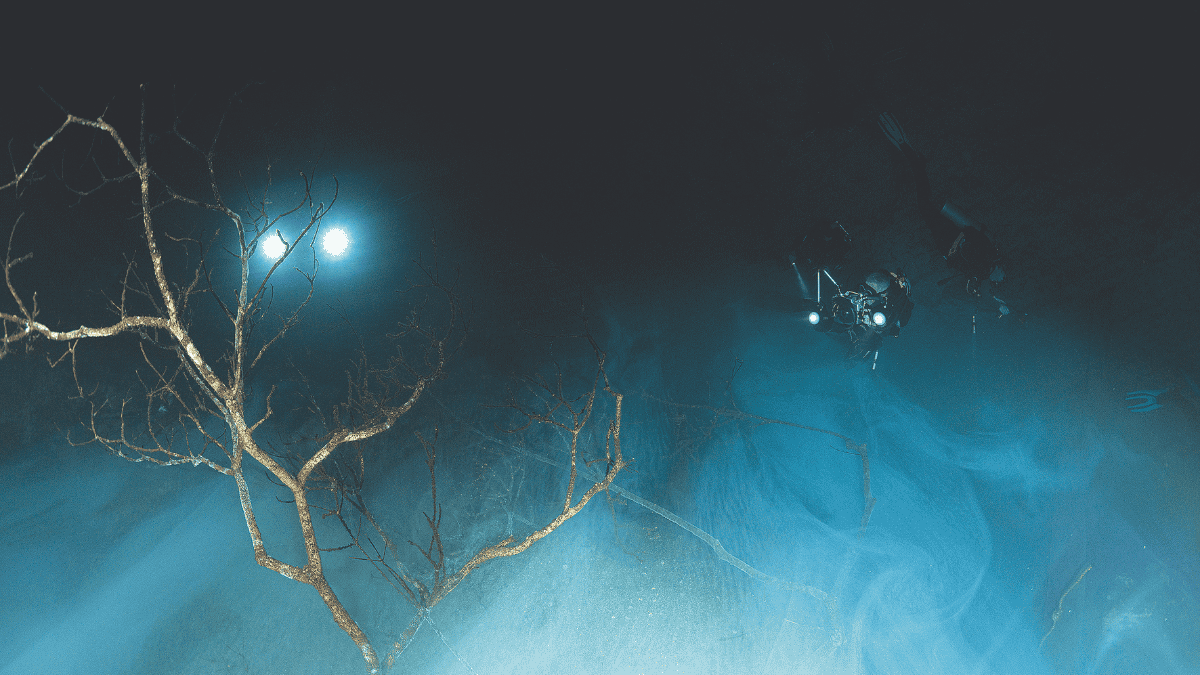Cenotes couv (2)