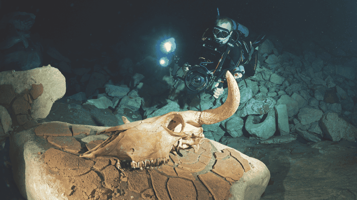 Cenotes couv (3)
