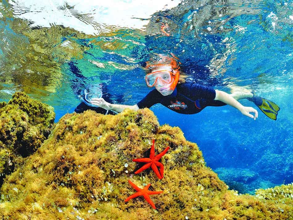 Etoile de mer