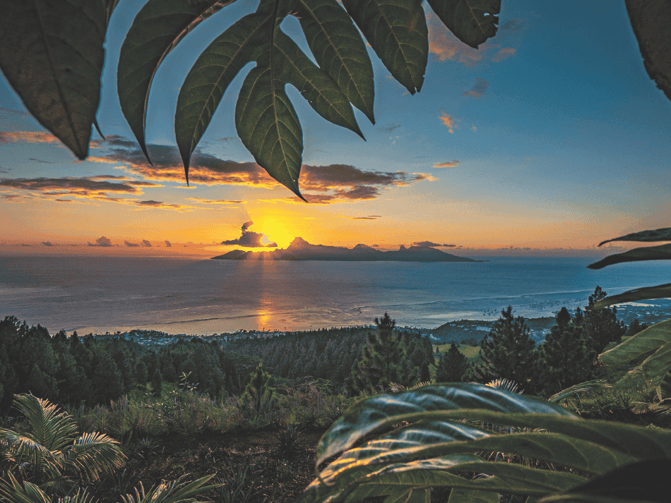 Tuamotu (10)