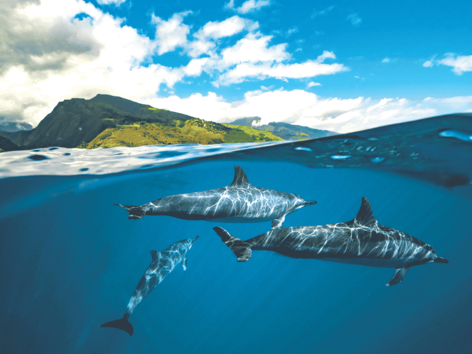 Tuamotu (9)