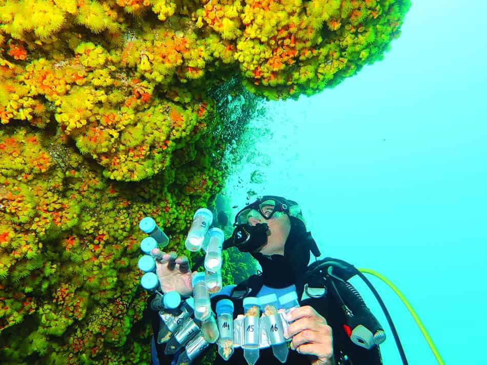 Tubes