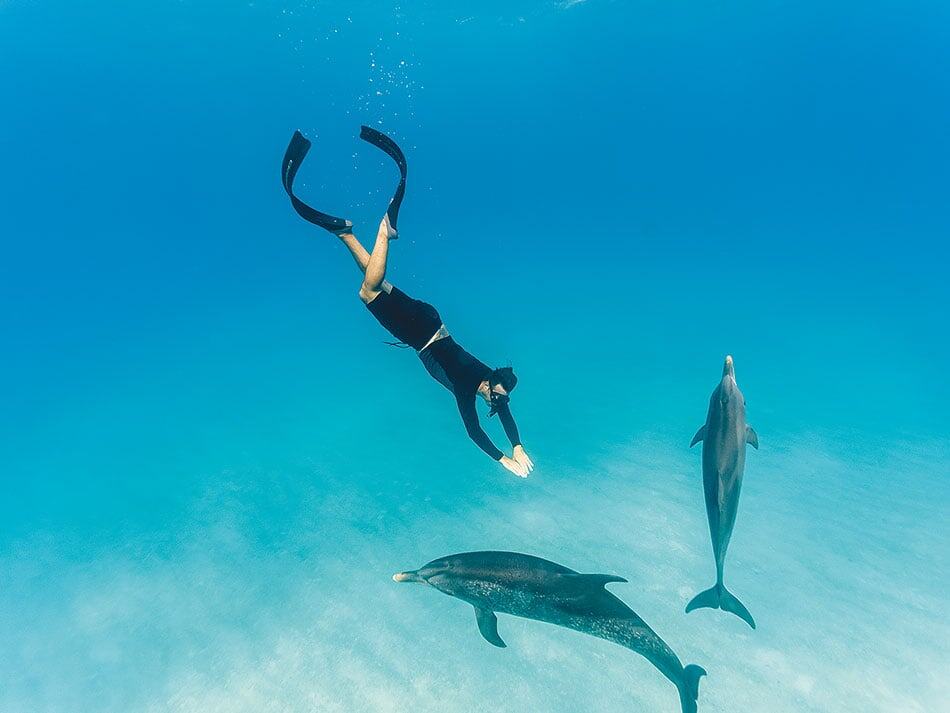 Voyage plongee bimini 1