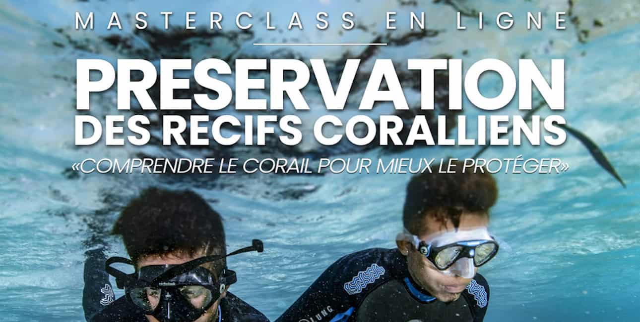 Masterclass plongez 3