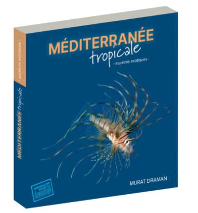 Mediterranee tropicale kitap perspektif