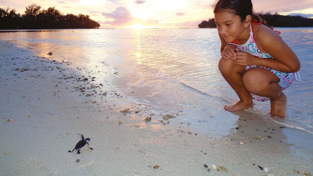 Tortue marine polynesie