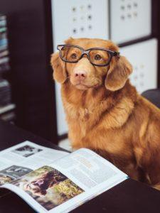 Great content marketing and SEO improve the user experience for all readers. 