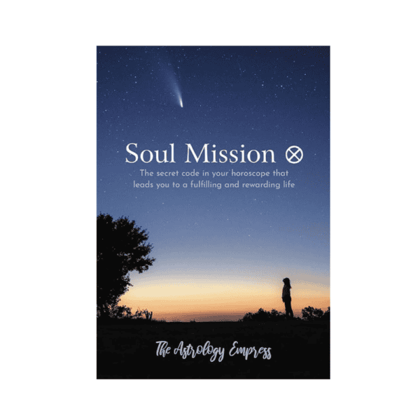 soul mission boek