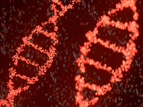 DNA Sequencing in Clinical Trials | pRxEngage