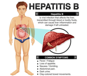 Hepatitis B Virus | pRxEngage