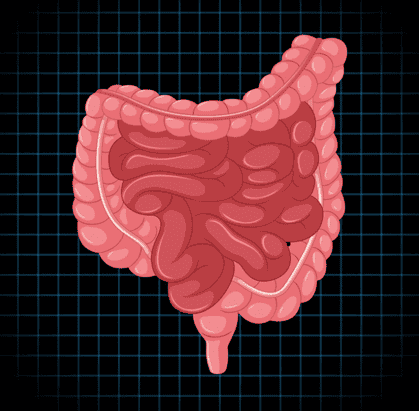 Understanding Crohn’s Disease: A Patient Guide