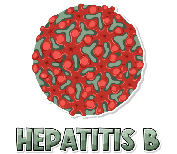 Understanding Hepatitis B Virus Infection: A Patient Guide