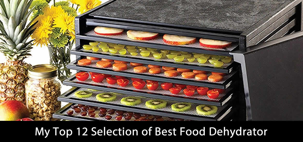 Best Food Dehydrator