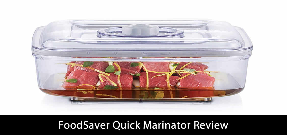FoodSaver Quick Marinator Review