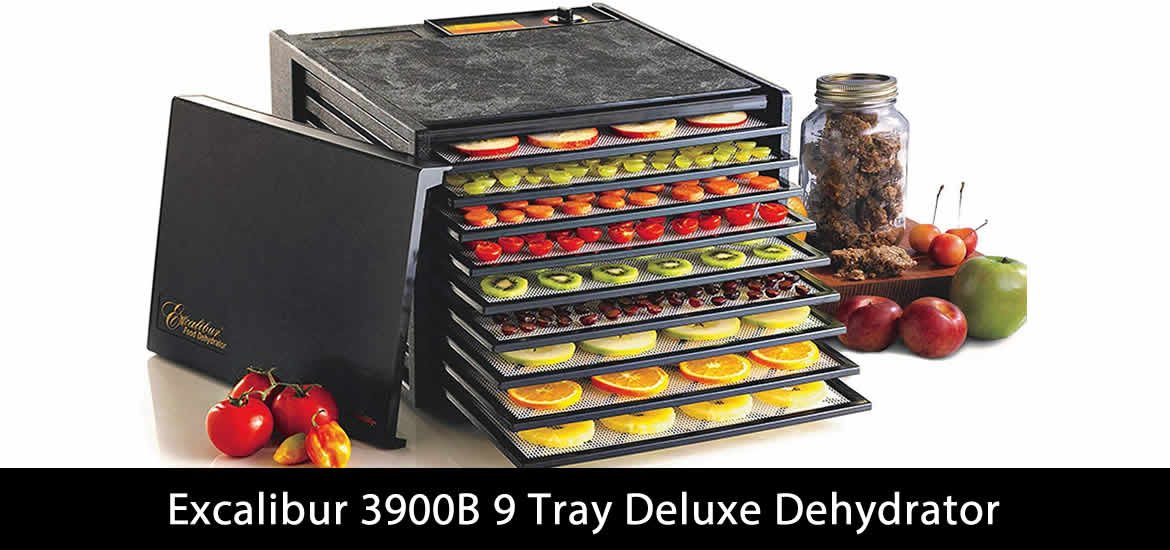 Excalibur 3900B 9 Tray Deluxe Dehydrator Review