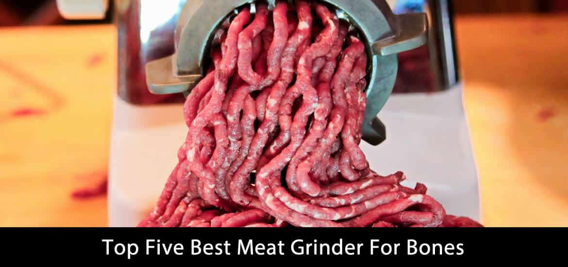 Best Meat Grinder For Bones