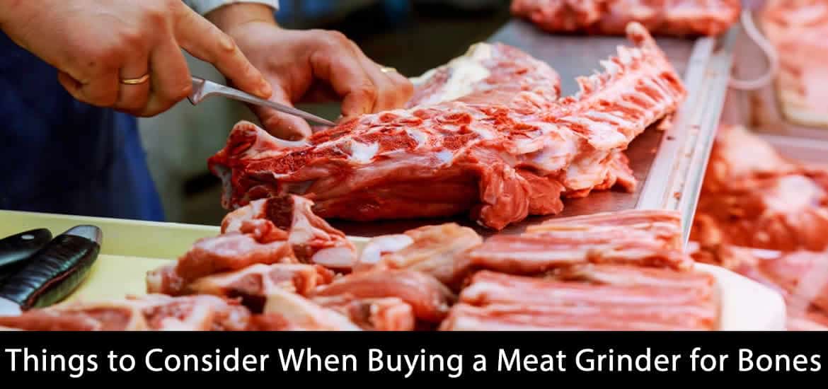 best meat grinder for chicken bones