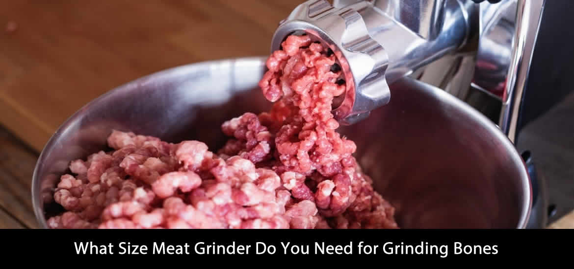 What Size Meat Grinder Do You Need for Grinding Bones