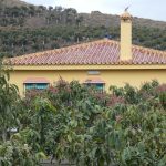 Realister - Home & Income (Land)