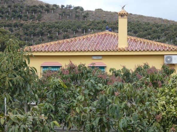 Realister - Home & Income (Land)