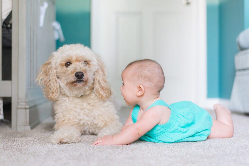A baby in a blue dress lays on a carpeted floor next to a pet puppy.