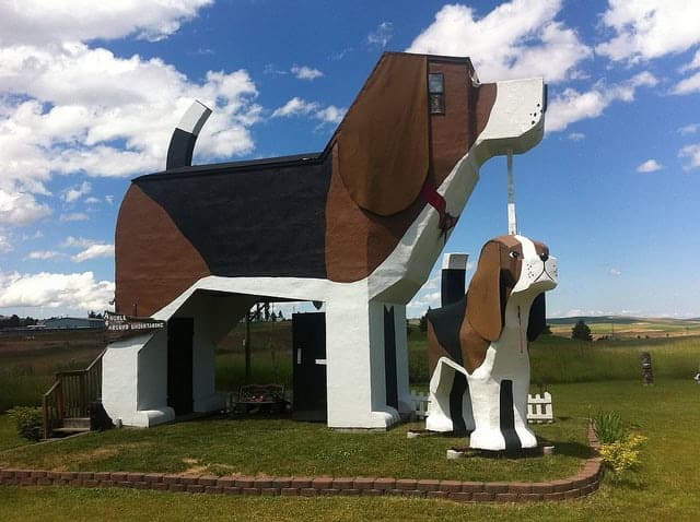 The Dog Bark Park Inn is unique in many ways - the structure of the Inn being only one feature that makes this a quirky hotel