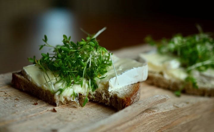 Microgreens dress up an artisan cheese sandwich sitting on a wooden block table.
