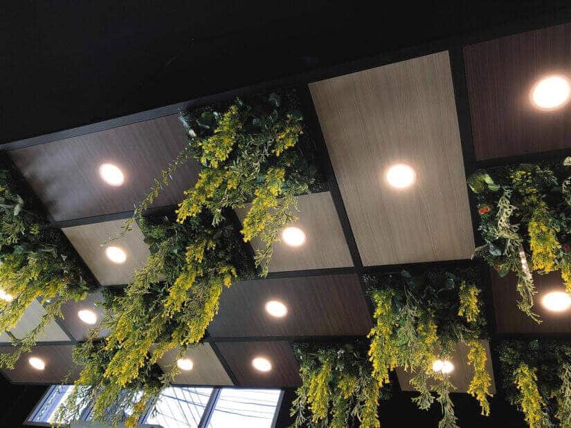 Above a restaurant's dining room recessed energy-efficient lighting illuminates hanging plants. 