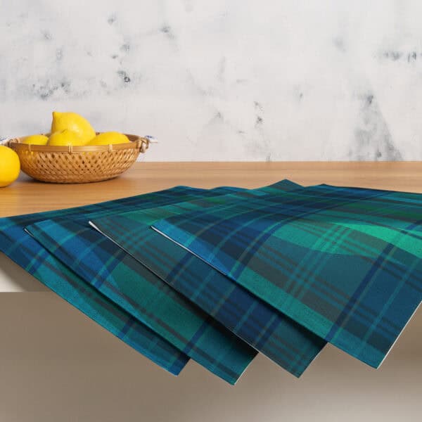 Breaking Plaid Placemat Set