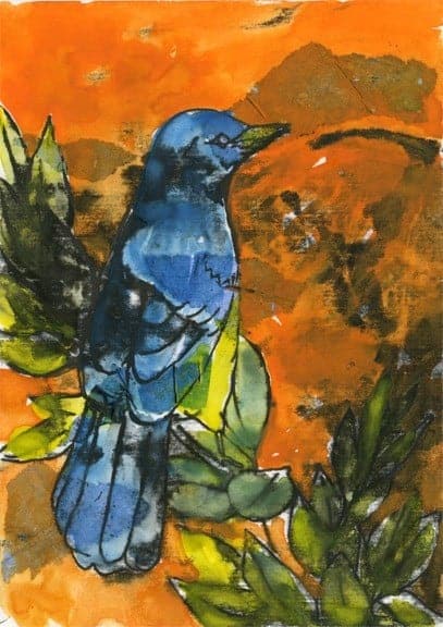 Bluebird