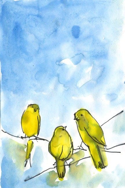 Canaries