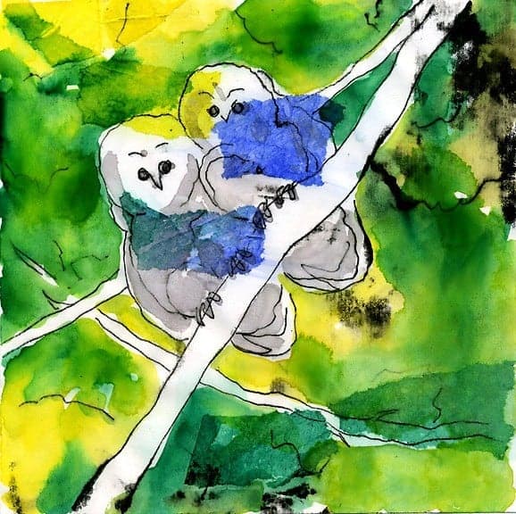 Owlets