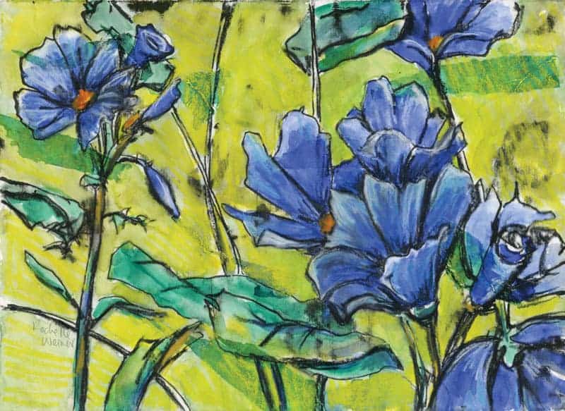Cornflowers-sm
