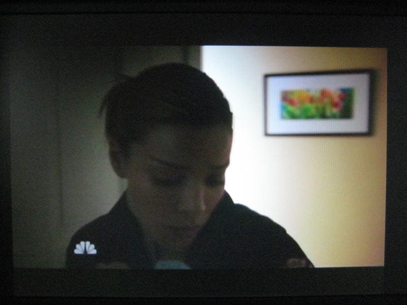 NBC's Chicago Fire - Rochelle Weiner artwork