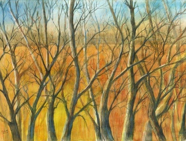 ChicagoWoods-sm