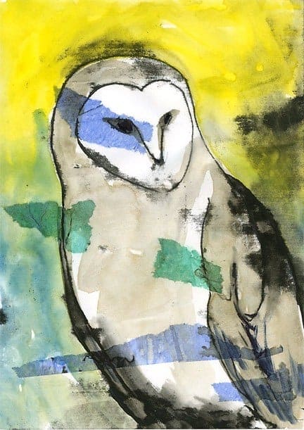 Owl-sm